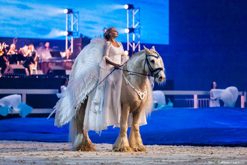 Конный театр Ларисы Луста - Часть вторая - Путь к мечте (фото 5)