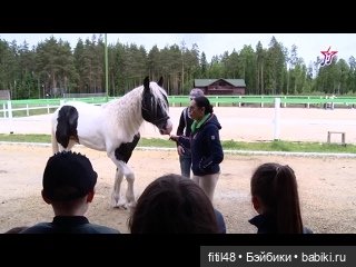 Конный театр Ларисы Луста - Часть вторая - Путь к мечте (фото 9)