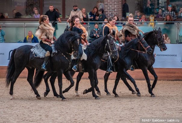 Конный театр Ларисы Луста - Часть вторая - Путь к мечте