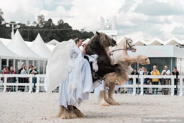Конный театр Ларисы Луста - Часть вторая - Путь к мечте