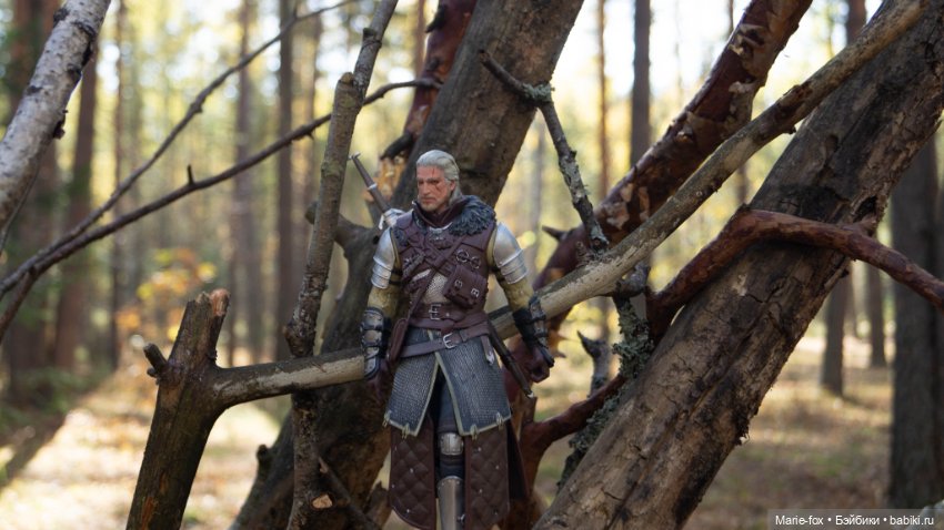 Геральт — Интересные игрушки и фигурки (разное): редкие (фото 9)