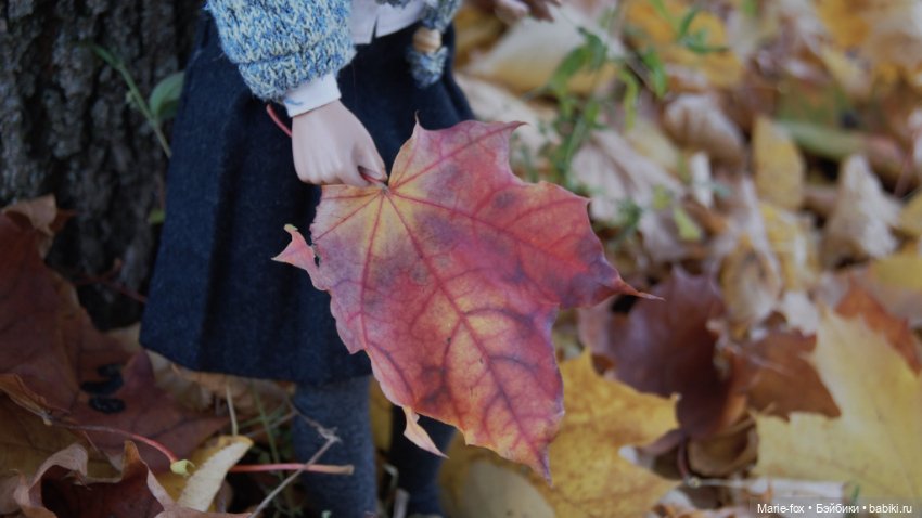 Гермиона. Главная мечта исполнилась