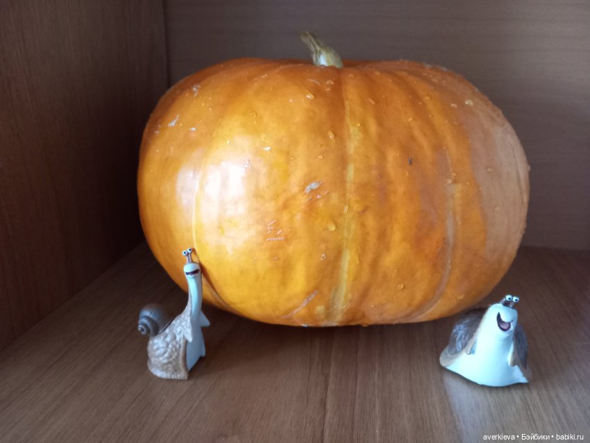 Самый осенний суп — Интересные игрушки и фигурки (разное): редкие (фото 3)