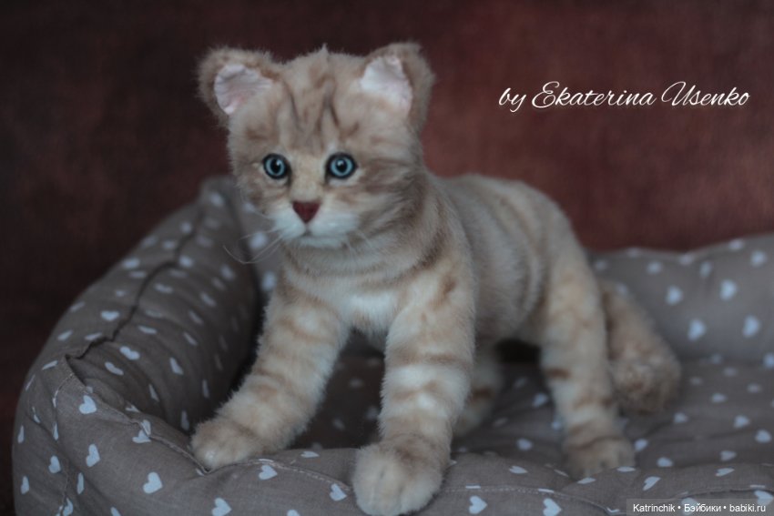 Котенок Боня, "живая" игрушка