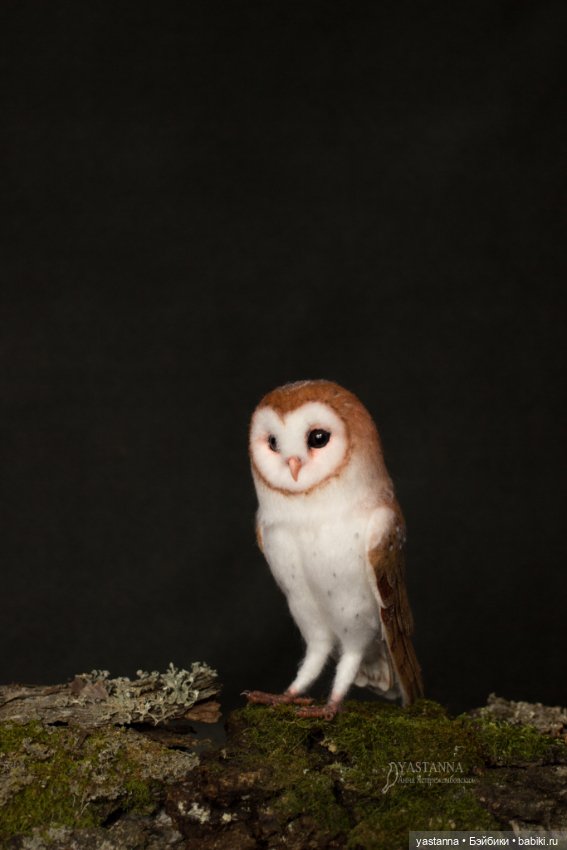 Сипухи — Валяные игрушки из шерсти: сухое валяние