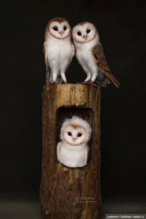 Сипухи — Валяные игрушки из шерсти: сухое валяние (фото 9)