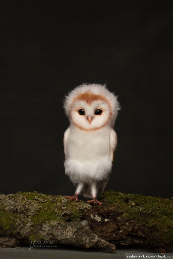 Сипухи — Валяные игрушки из шерсти: сухое валяние