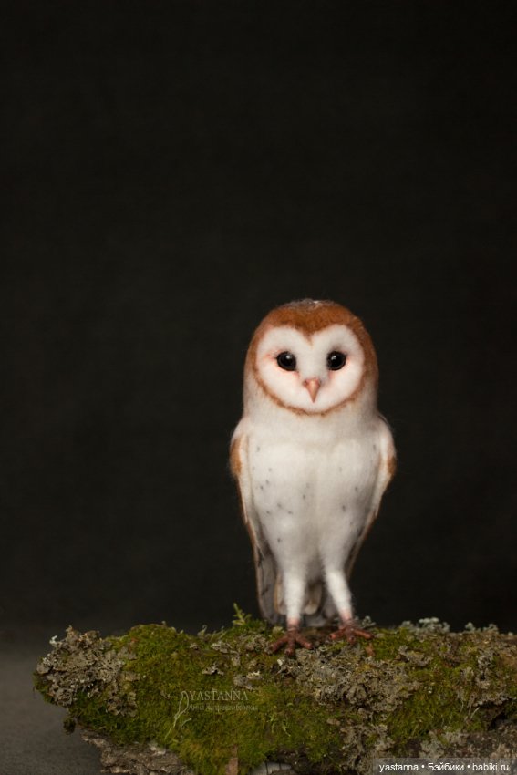 Сипухи — Валяные игрушки из шерсти: сухое валяние