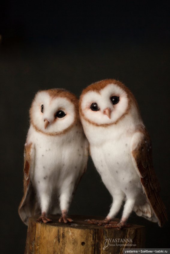 Сипухи — Валяные игрушки из шерсти: сухое валяние (фото 5)