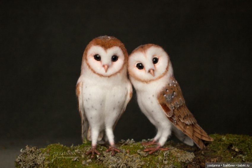 Сипухи — Валяные игрушки из шерсти: сухое валяние (фото 2)