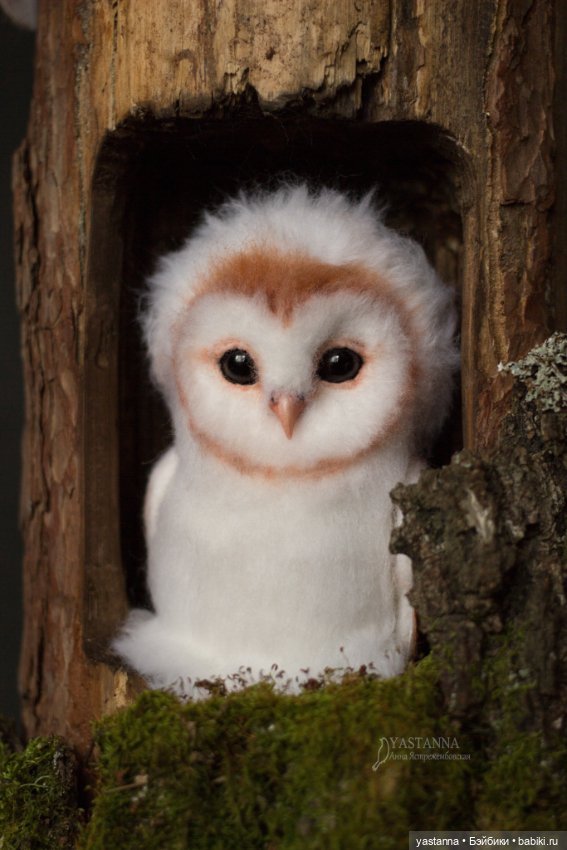 Сипухи — Валяные игрушки из шерсти: сухое валяние (фото 7)