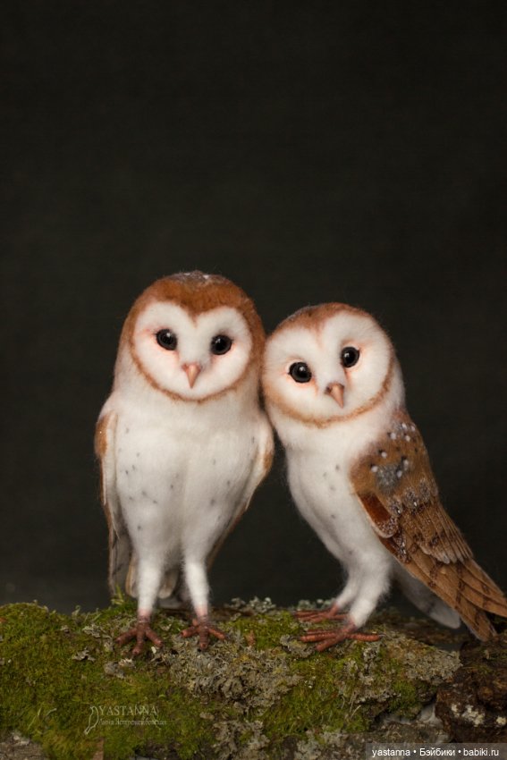 Сипухи — Валяные игрушки из шерсти: сухое валяние