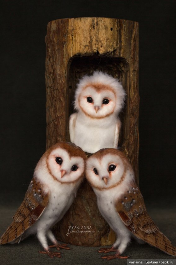 Сипухи — Валяные игрушки из шерсти: сухое валяние (фото 10)