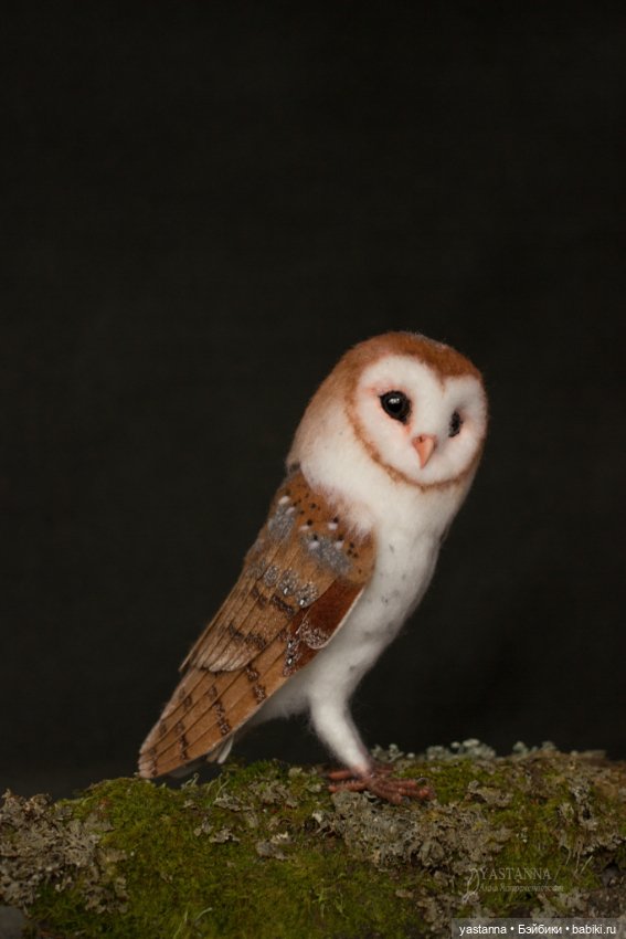 Сипухи — Валяные игрушки из шерсти: сухое валяние