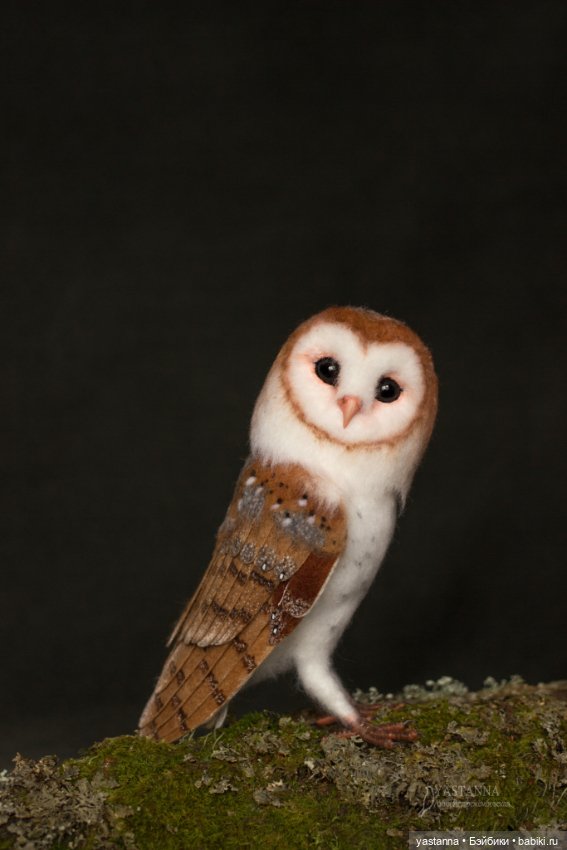 Сипухи — Валяные игрушки из шерсти: сухое валяние