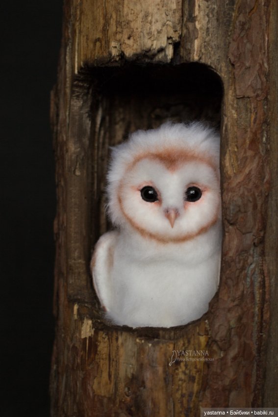 Сипухи — Валяные игрушки из шерсти: сухое валяние