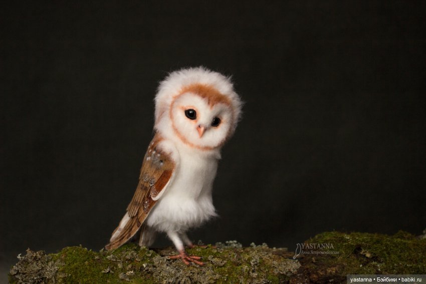 Сипухи — Валяные игрушки из шерсти: сухое валяние