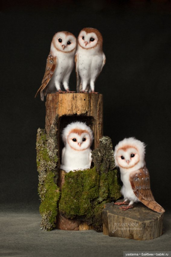 Сипухи — Валяные игрушки из шерсти: сухое валяние (фото 8)