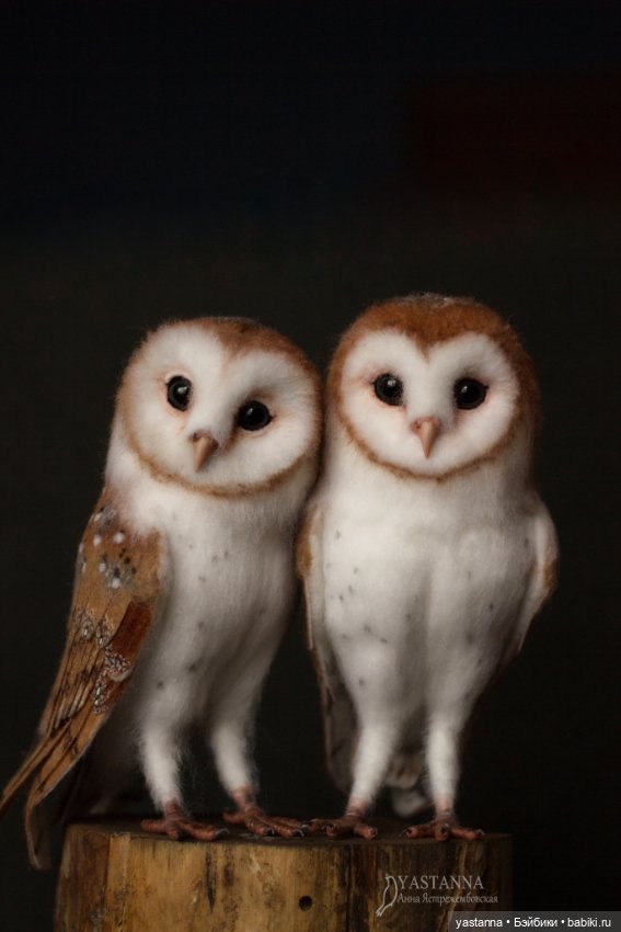 Сипухи — Валяные игрушки из шерсти: сухое валяние (фото 4)