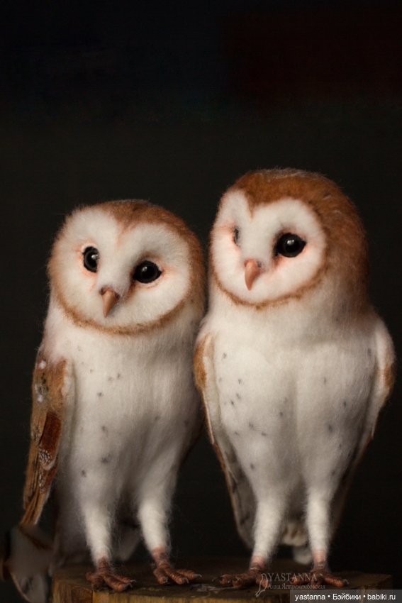 Сипухи — Валяные игрушки из шерсти: сухое валяние (фото 6)