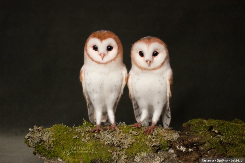 Сипухи — Валяные игрушки из шерсти: сухое валяние (фото 3)