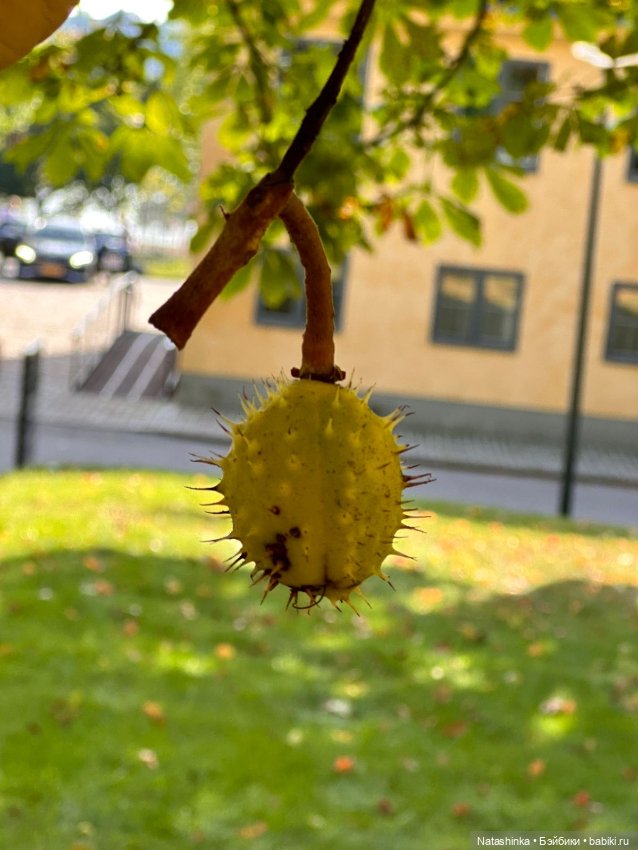 Музыкальная История 54 — Туризм и путешествия: фотоотчеты из поездок