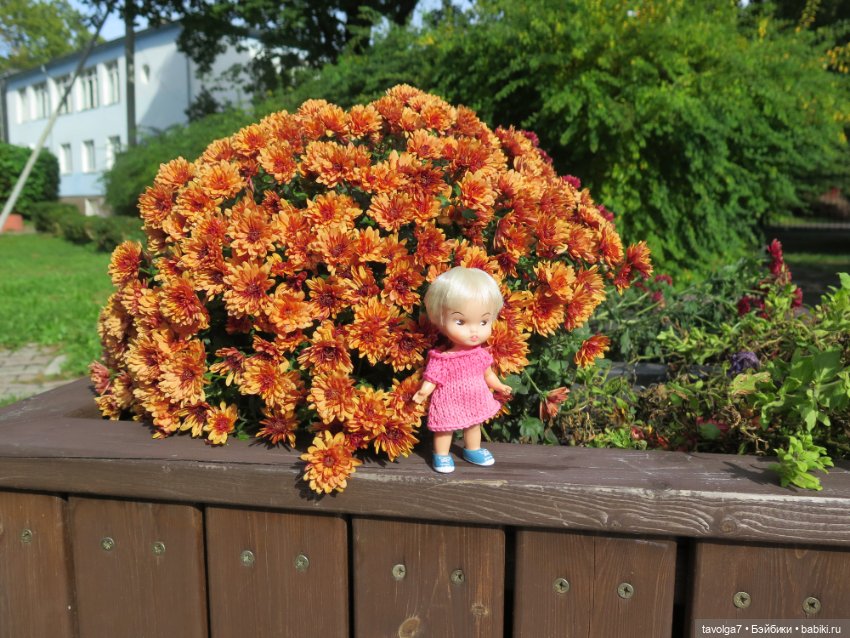 Иветта и Хильди в Светлогорске (фото 8)