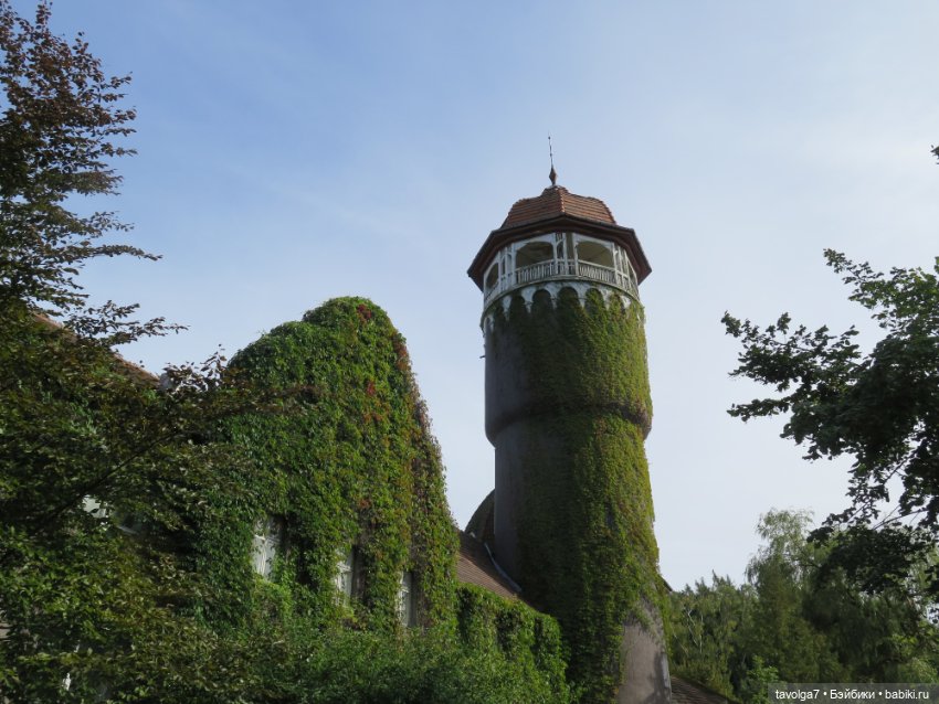 Иветта и Хильди в Светлогорске (фото 9)