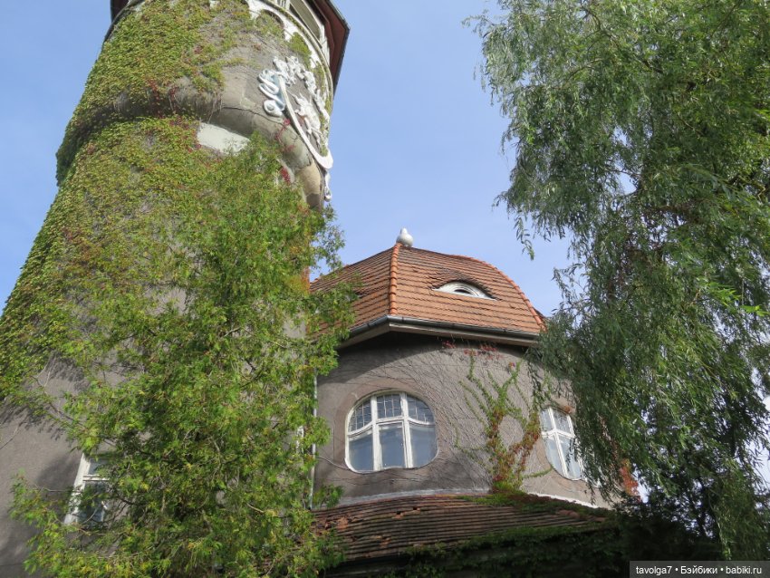 Иветта и Хильди в Светлогорске (фото 10)