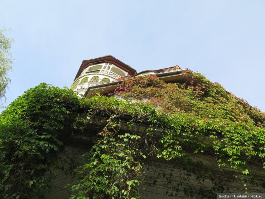 Иветта и Хильди в Светлогорске