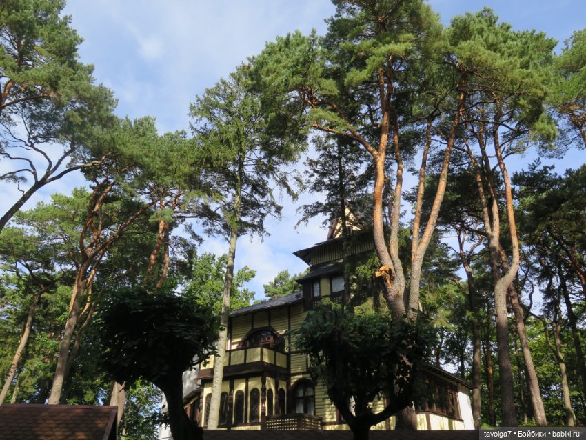 Иветта и Хильди в Светлогорске (фото 4)