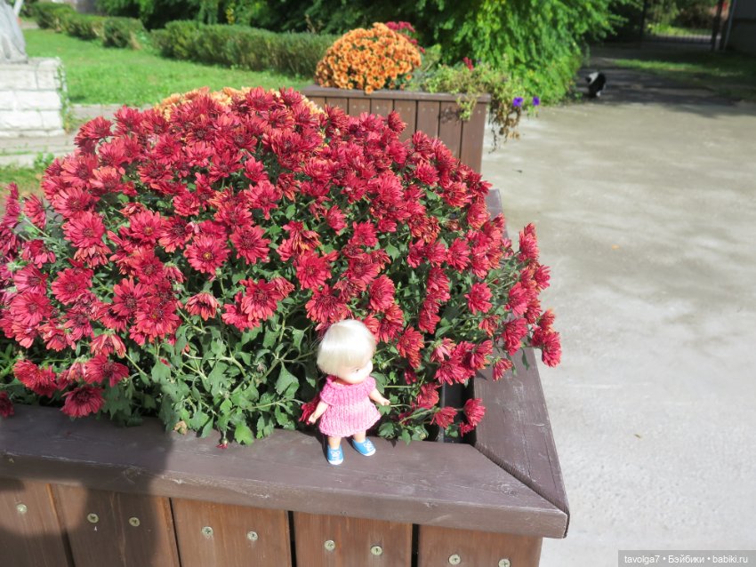 Иветта и Хильди в Светлогорске (фото 7)