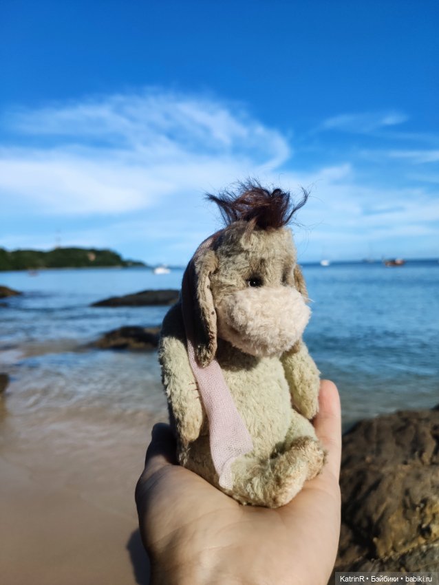 Ослик ИА — Авторские мишки Тедди и друзья: фото (фото 4)