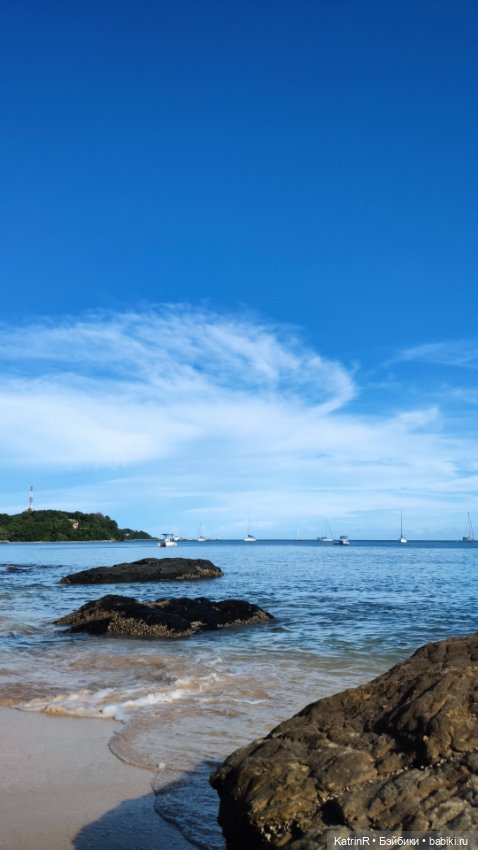 Ослик ИА — Авторские мишки Тедди и друзья: фото (фото 5)