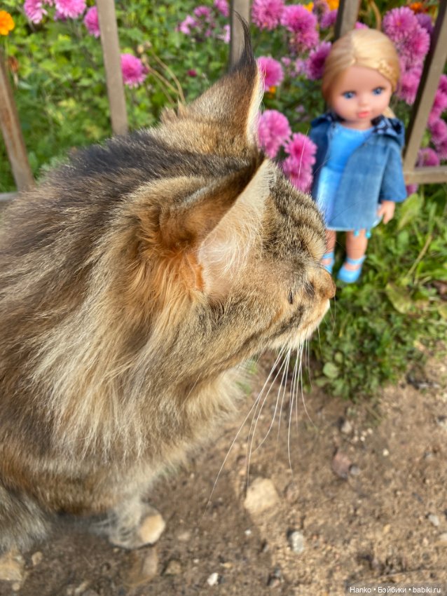 Кукла и кот — Игровые куклы разных производителей (Разное): редкие бренды