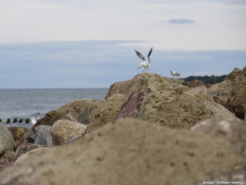 Пляж в Светлогорске на Мабон