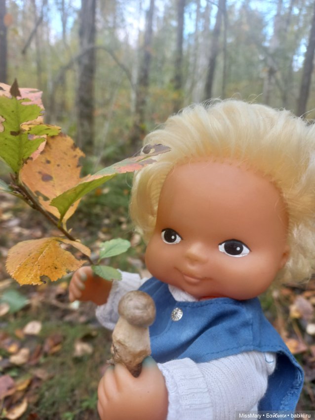 Веселые картинки. День грибника (фото 10)