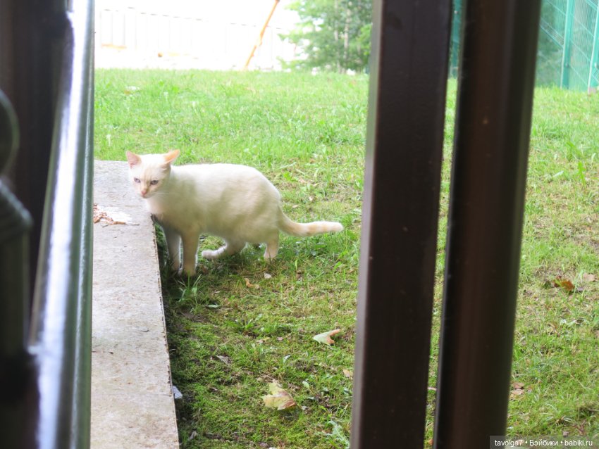 Пляж в Светлогорске на Мабон (фото 7)