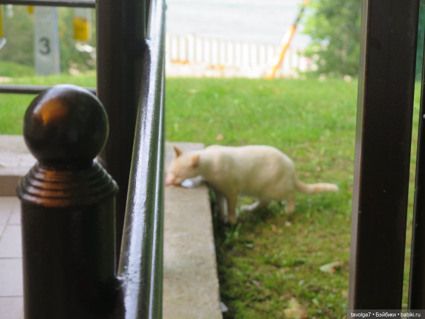 Пляж в Светлогорске на Мабон (фото 6)