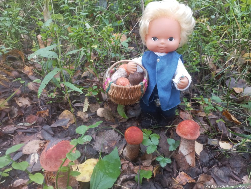 Веселые картинки. День грибника