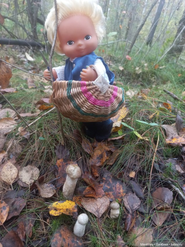 Веселые картинки. День грибника (фото 5)