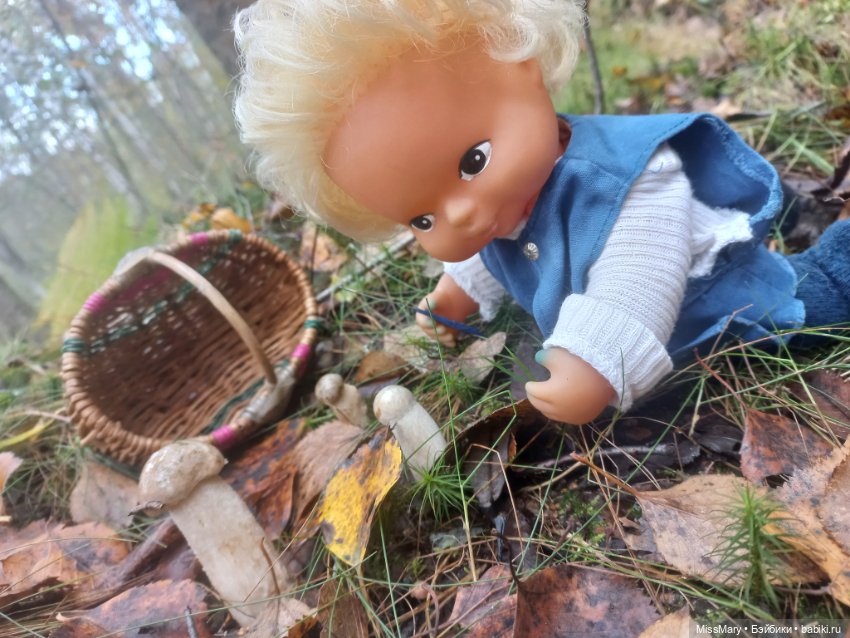 Веселые картинки. День грибника (фото 6)