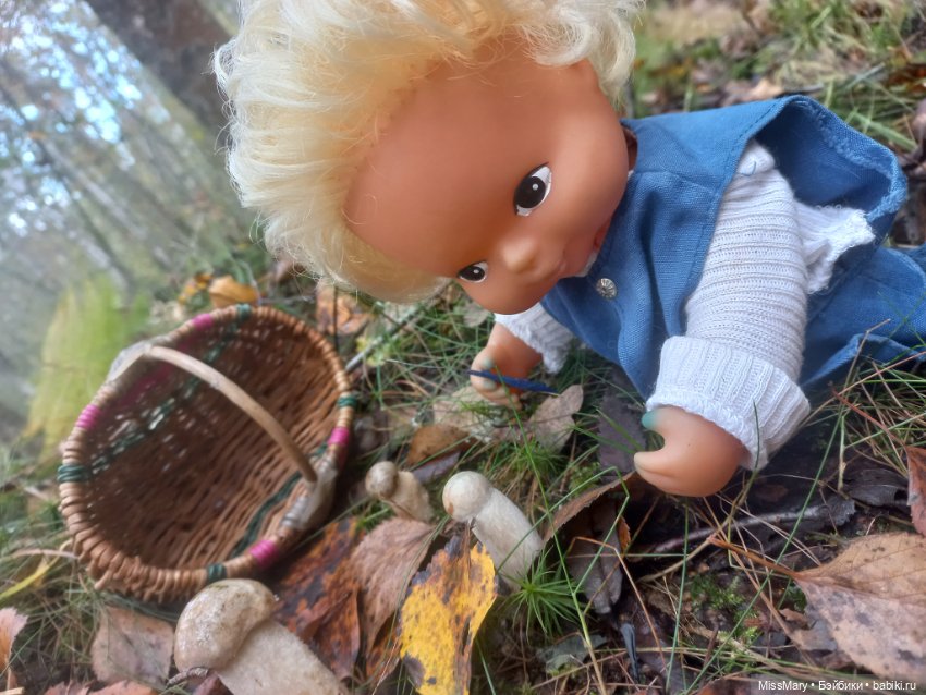 Веселые картинки. День грибника (фото 4)