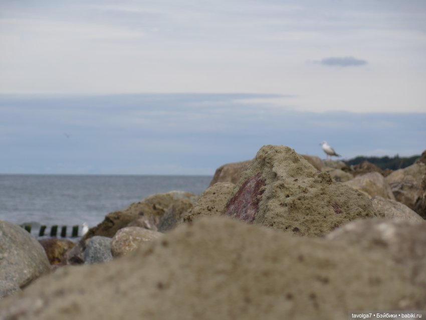 Пляж в Светлогорске на Мабон