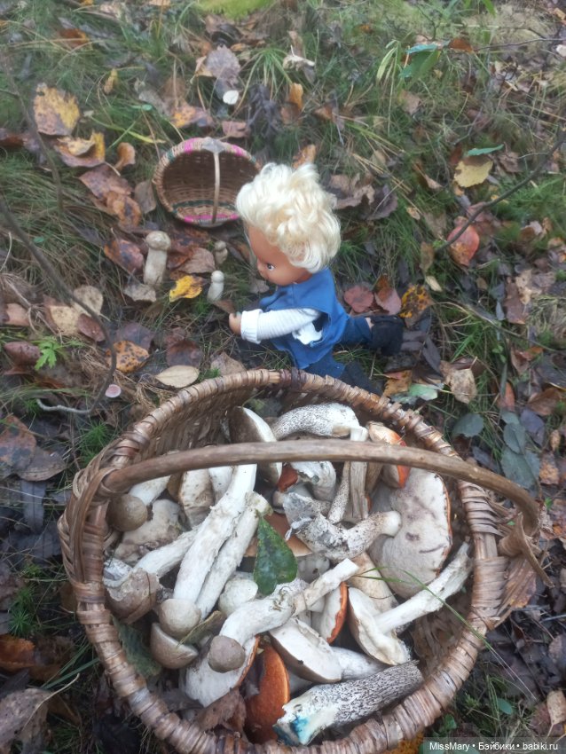 Веселые картинки. День грибника (фото 7)