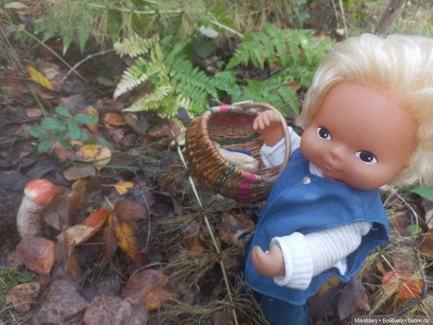 Веселые картинки. День грибника