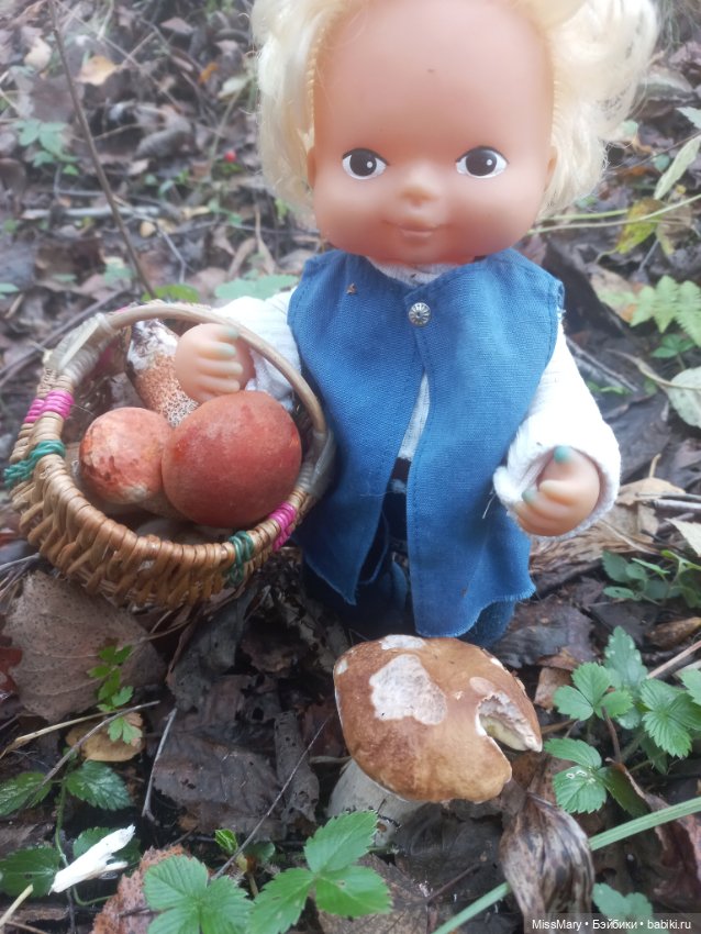 Веселые картинки. День грибника