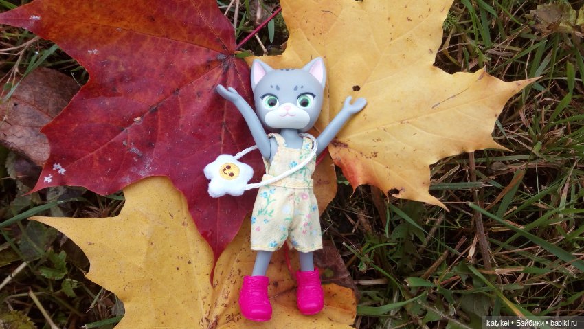 Белла Мяу и осенние листья (и опрос)