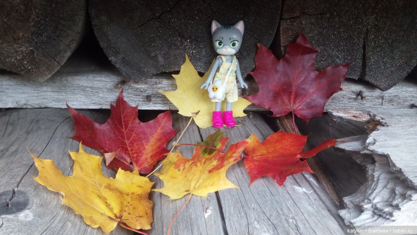 Белла Мяу и осенние листья (и опрос) (фото 7)