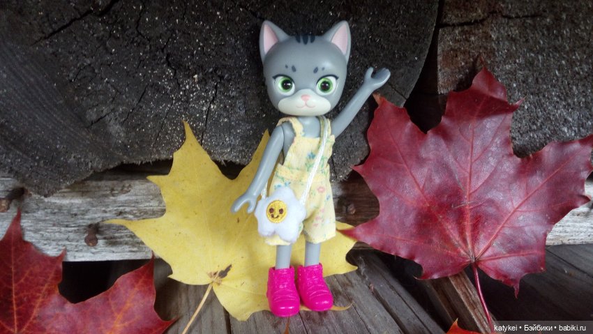 Белла Мяу и осенние листья (и опрос) (фото 5)